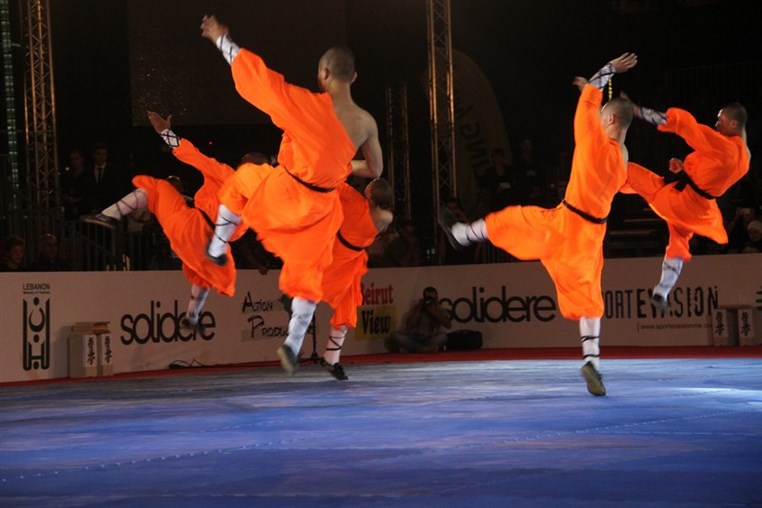 Martial Arts Festival